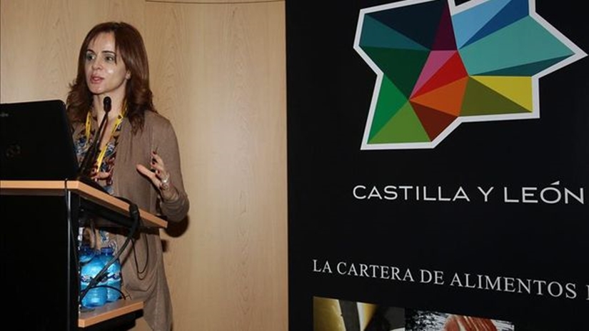 El Día de Castilla y León debe servir para más