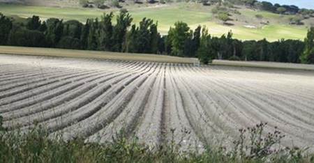 Los agricultores piden los atrasos de la PAC