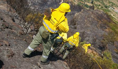 IU de Ávila apoya las reivindicaciones de las Brigadas Forestales