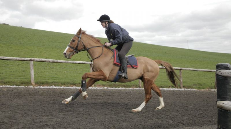 Caballo ganador