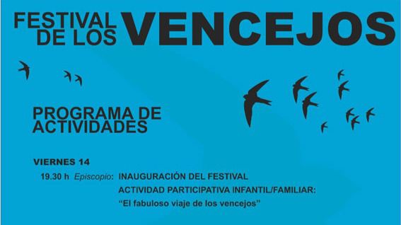 Agenda Ávila: Nueva edición del Festival de los Vencejos