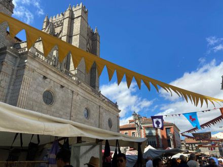 Por unas Jornadas Medievales de Ávila seguras