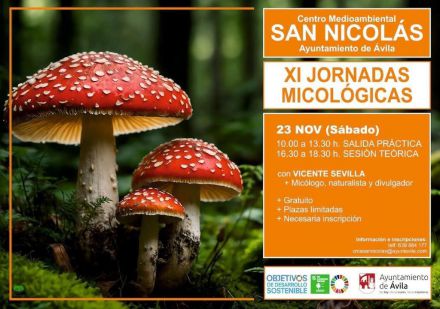 XI Jornadas Micológicas de Ávila