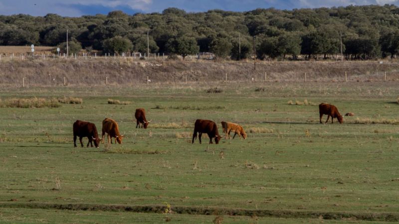 1,2 millones para la construcción de cuatro balsas de acumulación de agua invernal para abastecer al ganado en verano