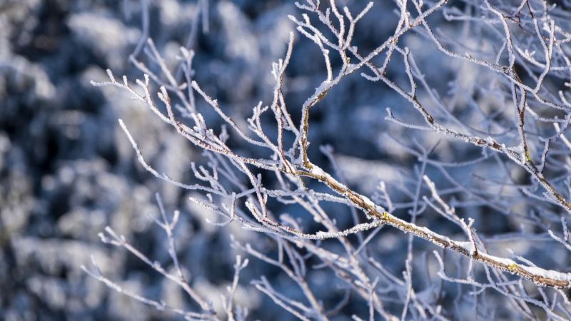 Nevadas en zonas altas de la provincia activan operativo de 26 personas