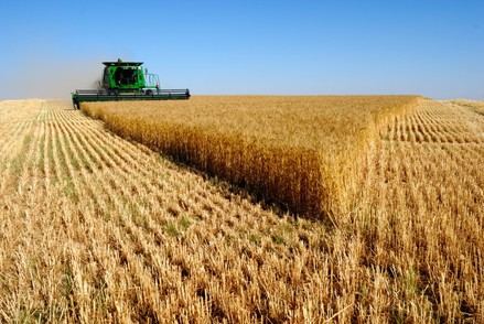 Récord en la producción agraria: 68.430 millones de euros en 2024