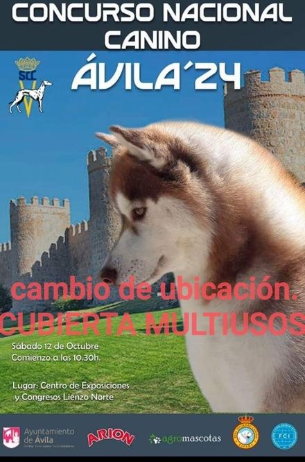 Agenda de Ávila: Concurso Nacional Canino