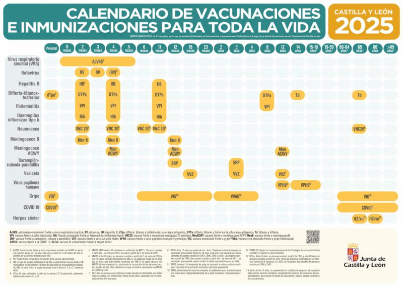 Nuevo calendario vacunal que incorpora modificaciones frente al neumococo y el Virus del Papiloma Humano