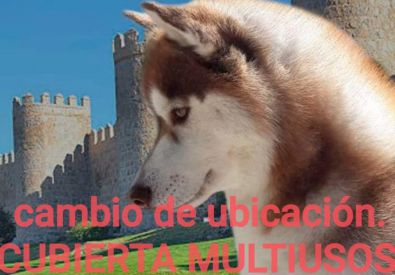 Agenda de Ávila: Concurso Nacional Canino